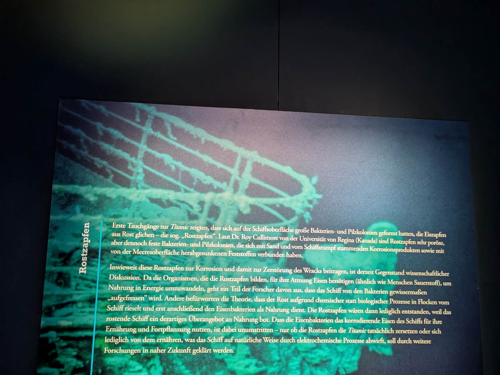 PXL 20241217 120137673.NIGHT